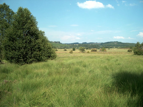 tourbiere du massif central