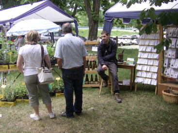 Stand p&eacute;pini&egrave;re graine de vie